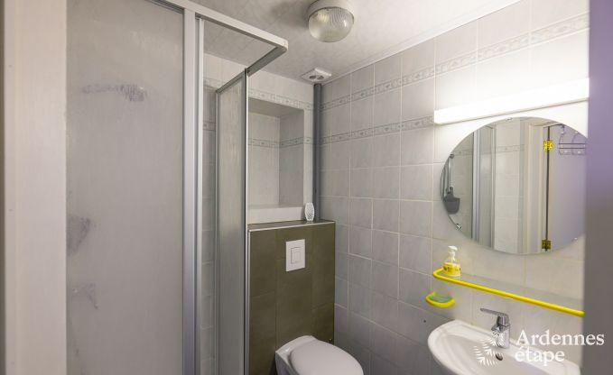 Vakantie op de boerderij in Vaux-sur-S�re voor 15 personen in de Ardennen