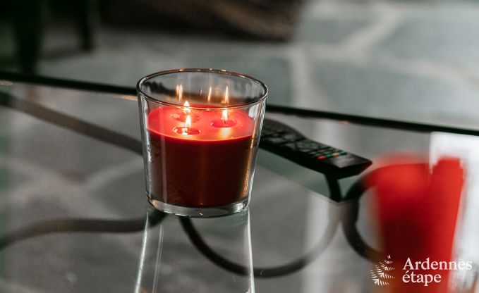 Vakantiehuis in Vaux-sur-S�re voor 2/3 personen in de Ardennen