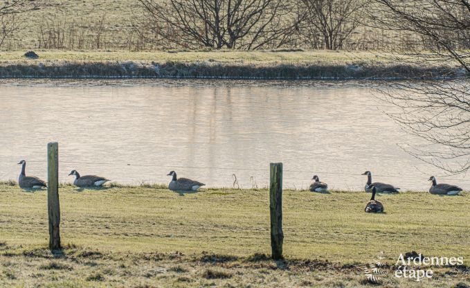 Vakantiehuis in Vaux-sur-Sre voor 8 personen in de Ardennen