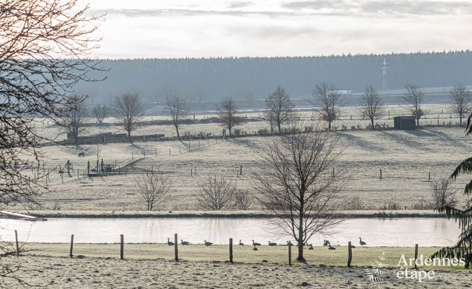 Vakantiehuis in Vaux-sur-Sre voor 8 personen in de Ardennen