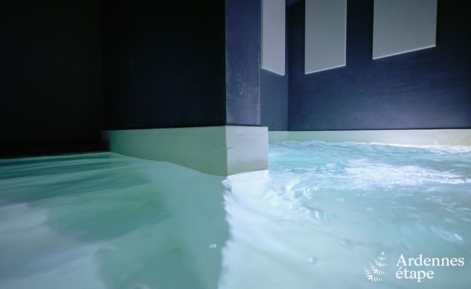 Uitzonderlijke gte met prachtig priv wellnesscentrum en zwembad in Vaux -sur - Sre