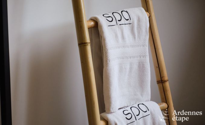 Uitzonderlijke gte met prachtig priv wellnesscentrum en zwembad in Vaux -sur - Sre