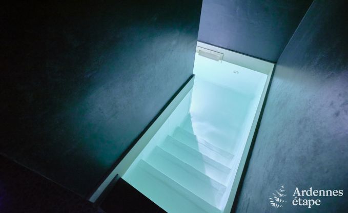 Uitzonderlijke gte met prachtig priv wellnesscentrum en zwembad in Vaux -sur - Sre