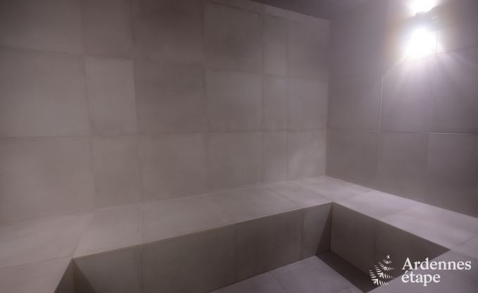 Uitzonderlijke gte met prachtig priv wellnesscentrum en zwembad in Vaux -sur - Sre