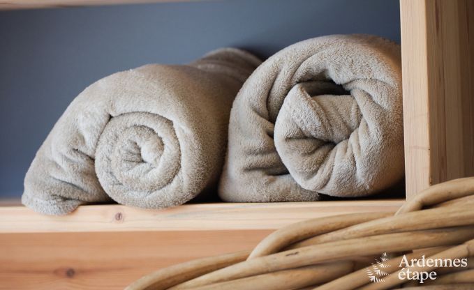 Uitzonderlijke gte met prachtig priv wellnesscentrum en zwembad in Vaux -sur - Sre