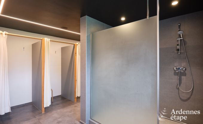 Uitzonderlijke gte met prachtig priv wellnesscentrum en zwembad in Vaux -sur - Sre