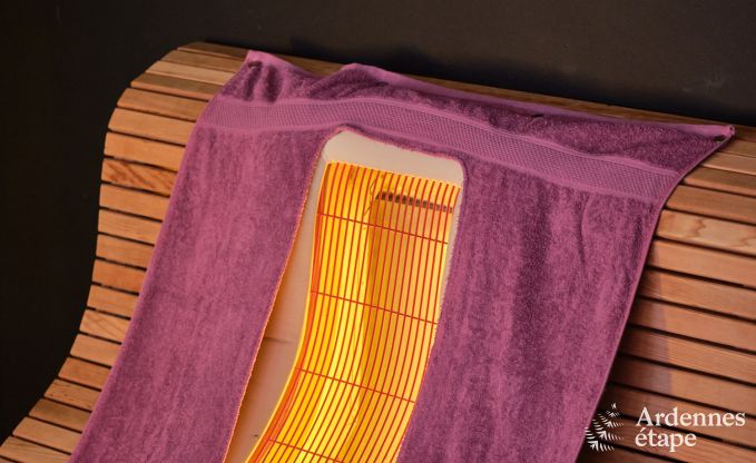 Uitzonderlijke gte met prachtig priv wellnesscentrum en zwembad in Vaux -sur - Sre