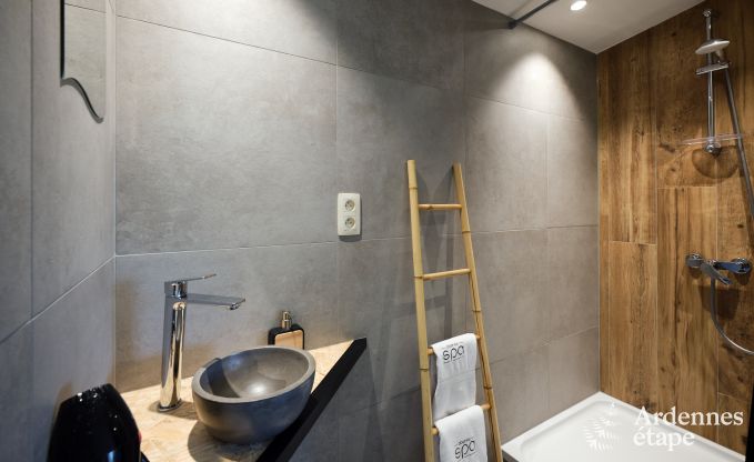 Uitzonderlijke gte met prachtig priv wellnesscentrum en zwembad in Vaux -sur - Sre