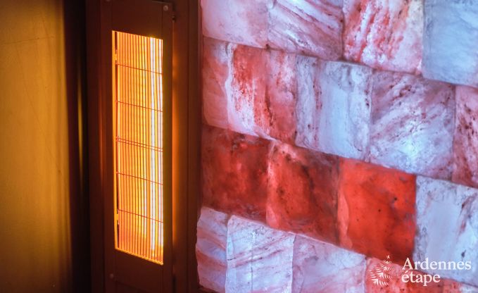 Uitzonderlijke gte met prachtig priv wellnesscentrum en zwembad in Vaux -sur - Sre