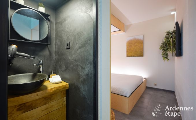 Uitzonderlijke gte met prachtig priv wellnesscentrum en zwembad in Vaux -sur - Sre