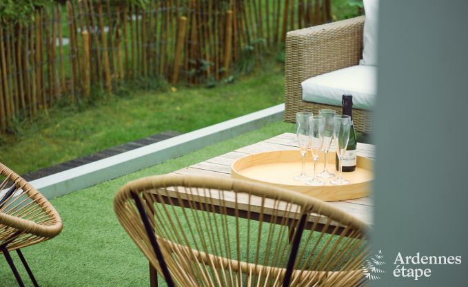 Uitzonderlijke gte met prachtig priv wellnesscentrum en zwembad in Vaux -sur - Sre