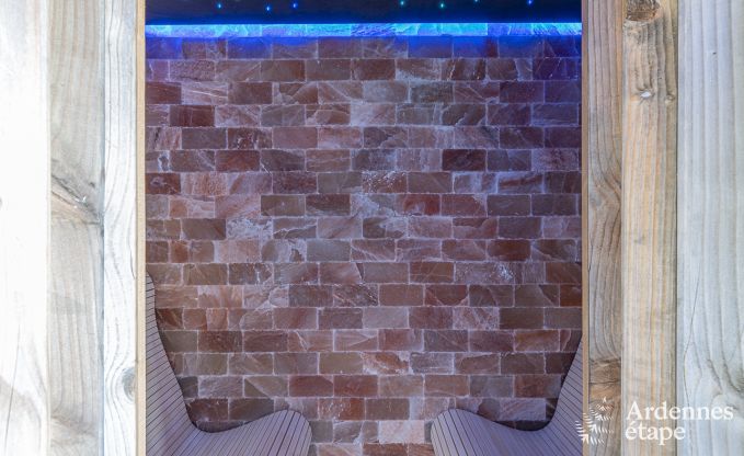 Luxe villa in Vaux-sur-s�re voor 12 personen in de Ardennen