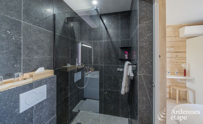 Luxe villa in Vaux-sur-s�re voor 12 personen in de Ardennen