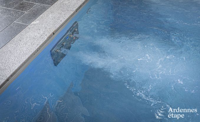 Luxe villa in Vaux-sur-s�re voor 12 personen in de Ardennen