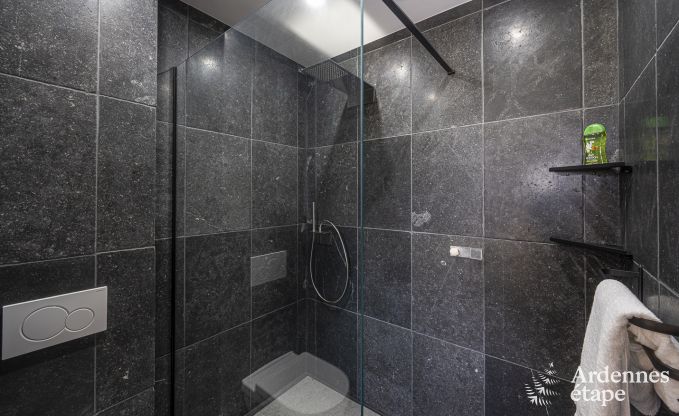 Luxe villa in Vaux-sur-s�re voor 12 personen in de Ardennen