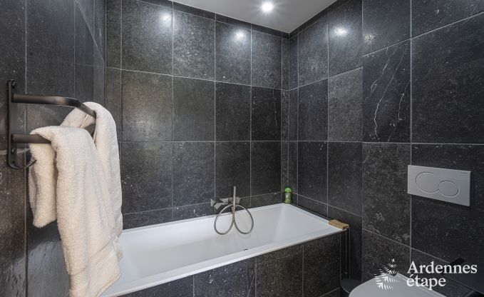 Luxe villa in Vaux-sur-s�re voor 12 personen in de Ardennen