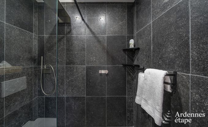 Luxe villa in Vaux-sur-sre voor 12 personen in de Ardennen