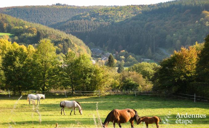 Chalet voor 5 personen met een uitzonderlijk terras in Vencimont