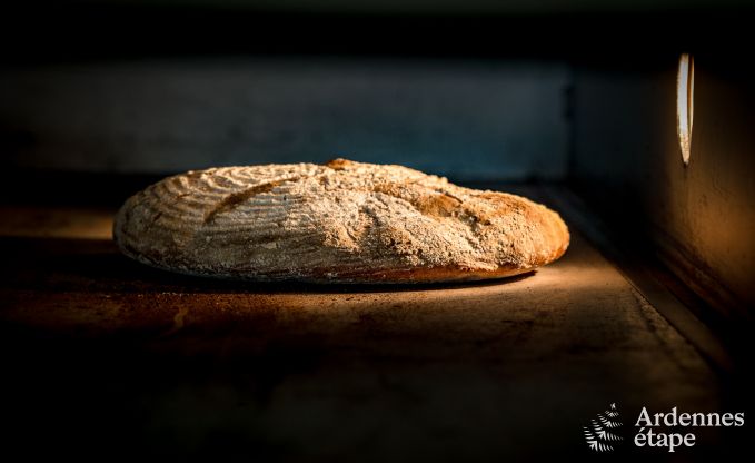 Vakantiehuis in Vencimont voor 8 personen in de Ardennen