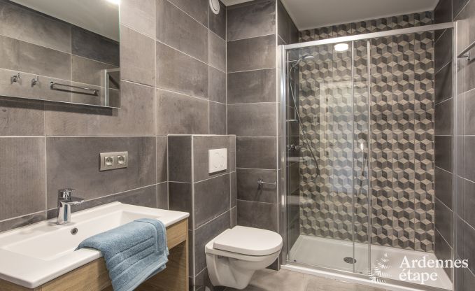 Vakantiehuis in Vencimont voor 40 personen in de Ardennen