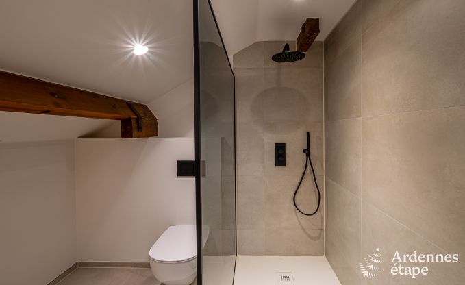 Comfortabel chalet in Vencimont voor 10 personen met moderne voorzieningen en priv�tuin in de Ardennen