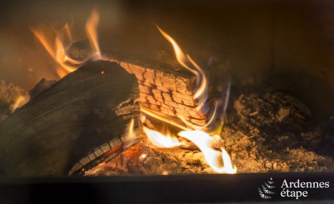 Vakantiehuis in Vencimont voor 9 personen in de Ardennen