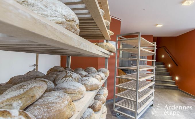 Vakantiehuis in Vencimont voor 17 personen in de Ardennen