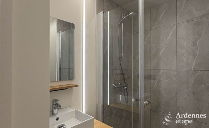 Ruime vakantiewoning voor 20 personen in Vencimont met 9 badkamers, sauna, infraroodcabine, speelruimte en priv�tuin in de Ardennen