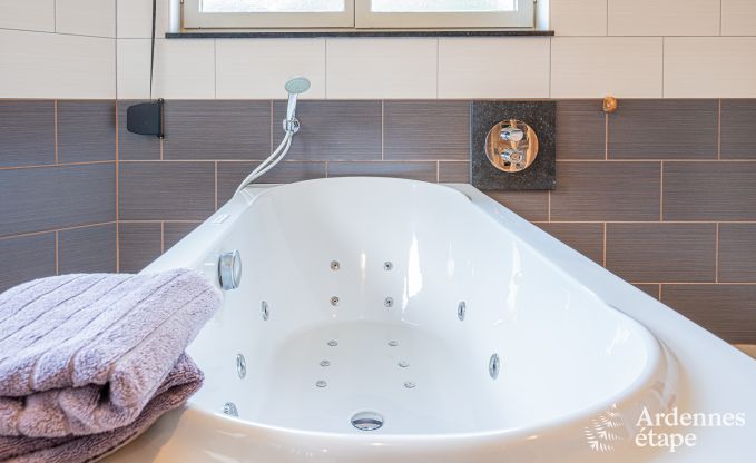 Vakantiehuis in Vencimont, Ardennen, 12 personen, 4 slaapkamers, priv� sauna, biljart, tuin aan het water