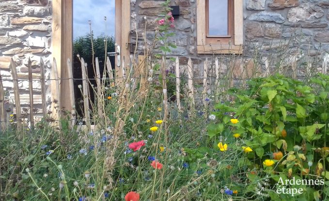 Cottage in Vielsalm (Ennal) voor 5 personen in de Ardennen