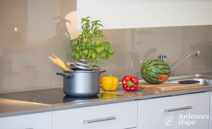 Appartement in Vielsalm voor 4 personen in de Ardennen