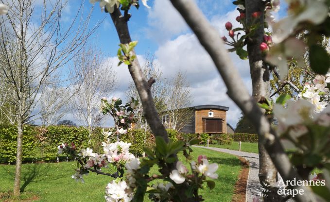 Buitengewoon in Vielsalm voor 4 personen in de Ardennen