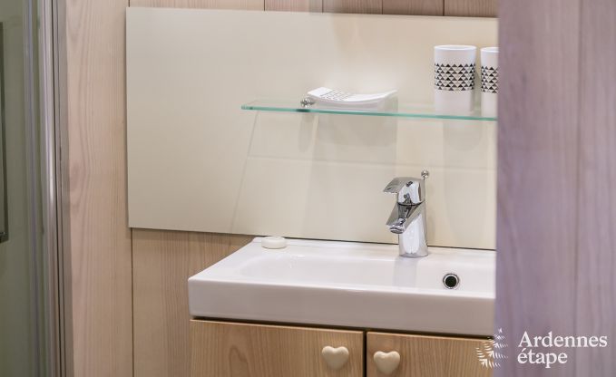 Buitengewoon in Vielsalm voor 4 personen in de Ardennen