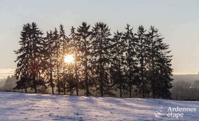 Chalet in Vielsalm voor 4/5 personen in de Ardennen