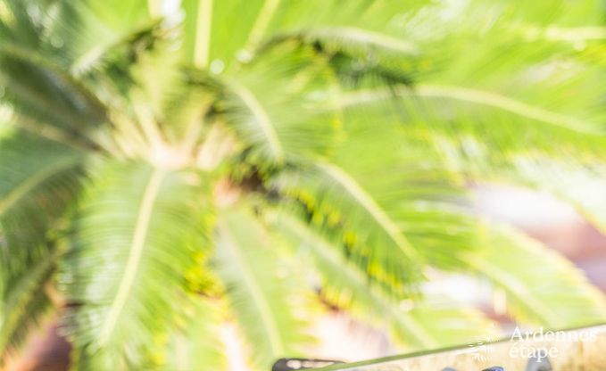 Chalet in Vielsalm voor 4/5 personen in de Ardennen