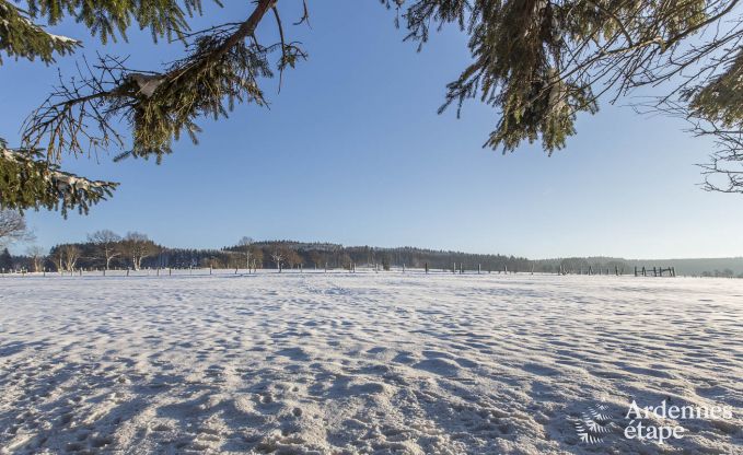 Chalet in Vielsalm voor 4/5 personen in de Ardennen