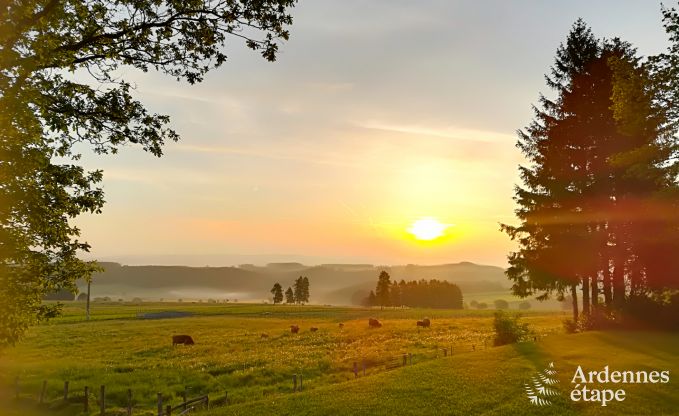 Chalet in Vielsalm voor 4/5 personen in de Ardennen