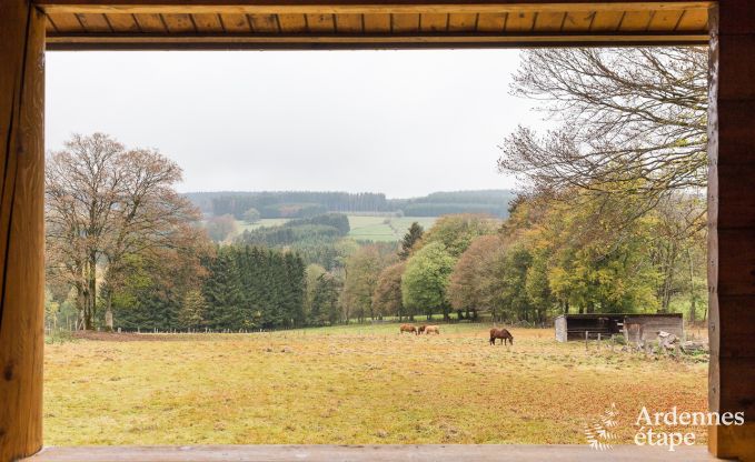 Chalet in Vielsalm voor 7 personen in de Ardennen