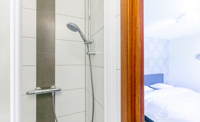 Luxe Villa met wellness in Vielsalm voor 12 personen in de Ardennen