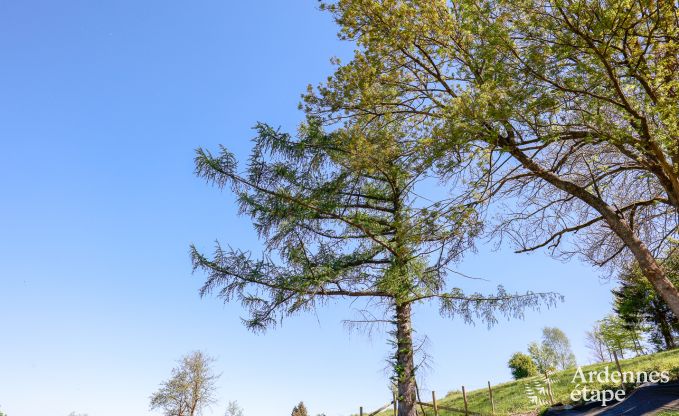 Luxe Villa met wellness in Vielsalm voor 12 personen in de Ardennen