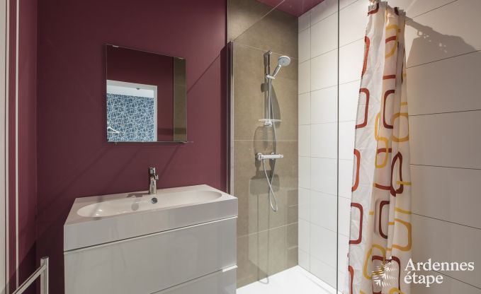 Grote luxe villa in Vielsalm voor 26 personen in de Ardennen