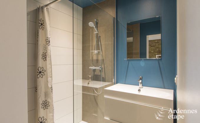 Grote luxe villa in Vielsalm voor 26 personen in de Ardennen