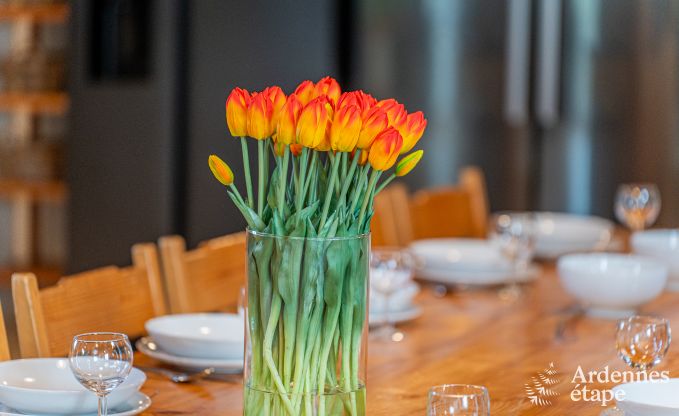 Ruim vakantiehuis in Vielsalm voor 26 personen in de Ardennen
