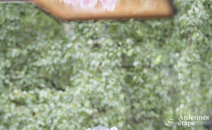 Luxe villa in Vielsalm voor 21 personen in de Ardennen