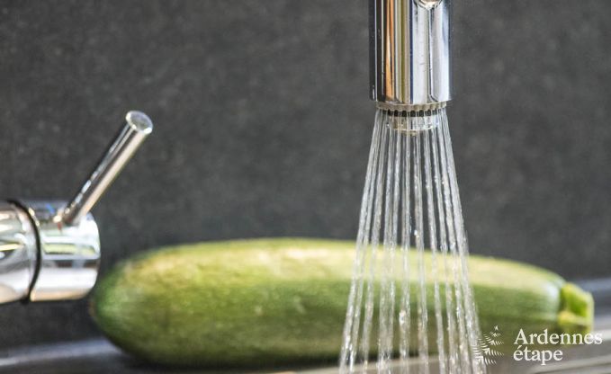 Luxe villa in Vielsalm voor 21 personen in de Ardennen