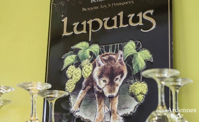 Luxe villa in Vielsalm voor 21 personen in de Ardennen