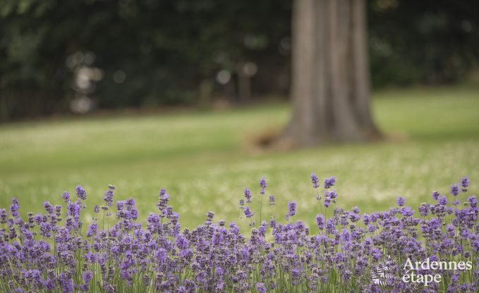Vakantie op de boerderij in Vielsalm voor 20 personen in de Ardennen