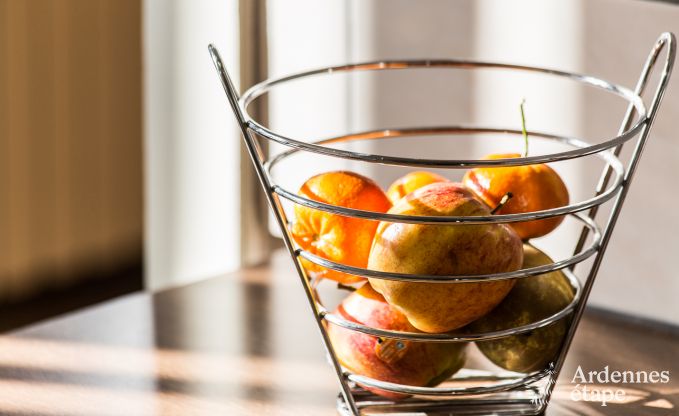 Vakantiehuis in Vielsalm voor 16 personen in de Ardennen