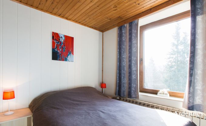 Vakantiehuis in Vielsalm voor 16 personen in de Ardennen