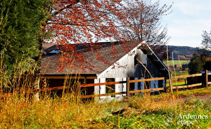 Vakantiehuis in Vielsalm voor 13/14 personen in de Ardennen